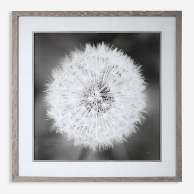 Uttermost Dandelion Seedhead Black and White Framed Print