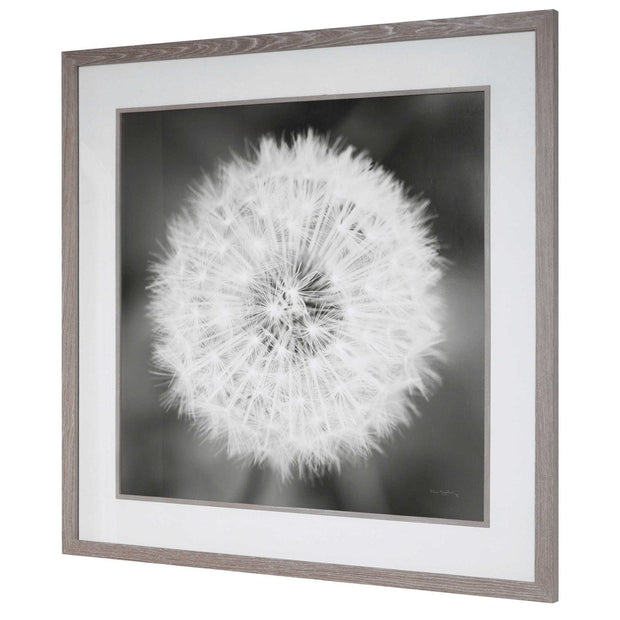 Uttermost Dandelion Seedhead Black and White Framed Print