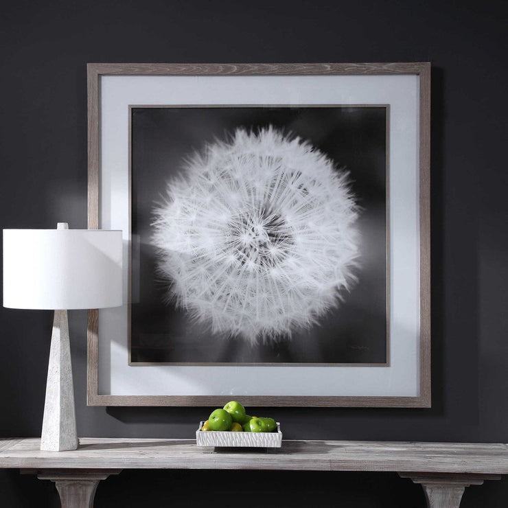 Uttermost Dandelion Seedhead Black and White Framed Print