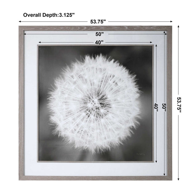 Uttermost Dandelion Seedhead Black and White Framed Print