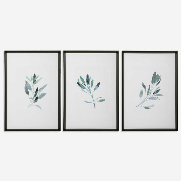 Uttermost Simple Sage Watercolor Branches Set of 3 Framed Prints