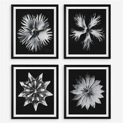 Uttermost Contemporary Black and White Florals Set of 4 Framed Prints,