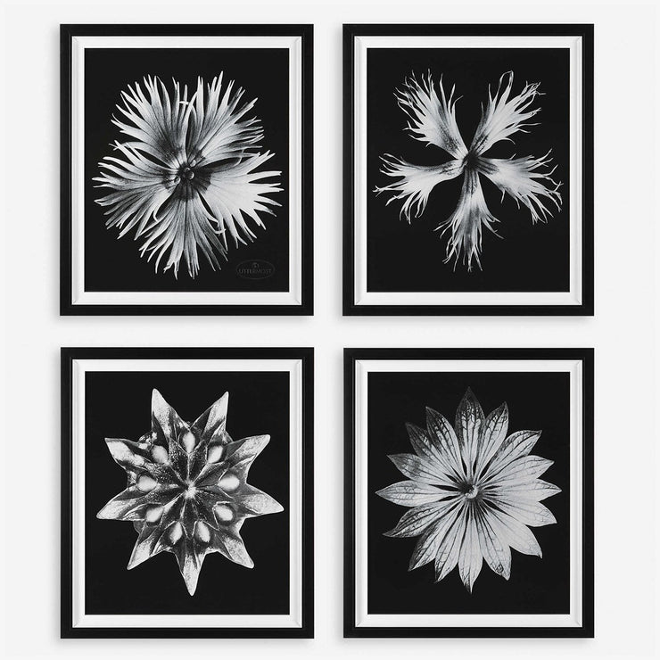 Uttermost Contemporary Black and White Florals Set of 4 Framed Prints,
