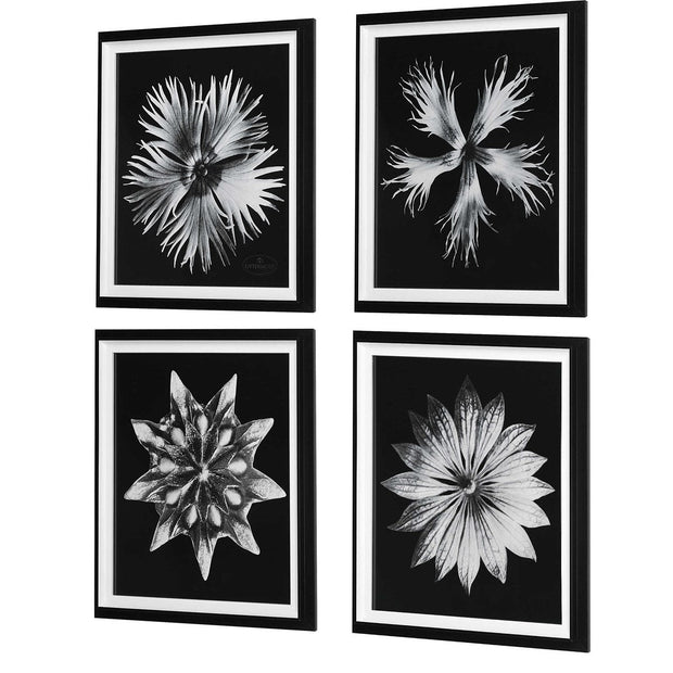 Uttermost Contemporary Black and White Florals Set of 4 Framed Prints,