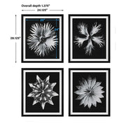 Uttermost Contemporary Black and White Florals Set of 4 Framed Prints,