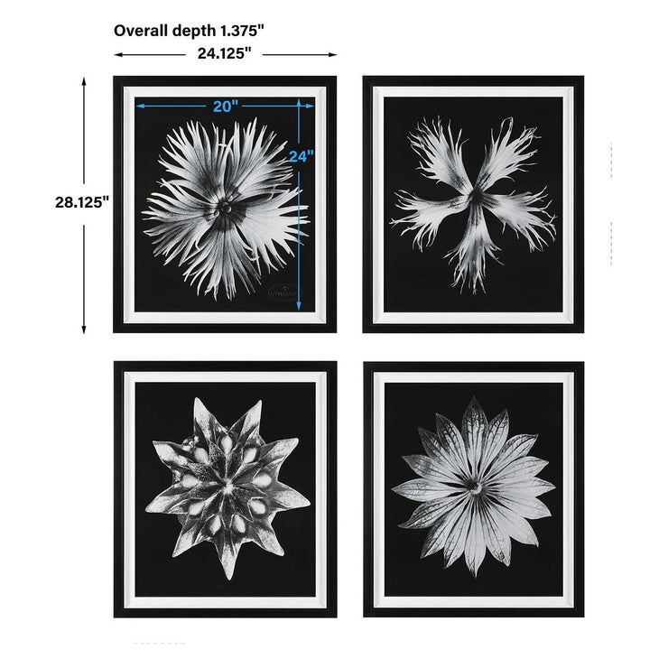 Uttermost Contemporary Black and White Florals Set of 4 Framed Prints,