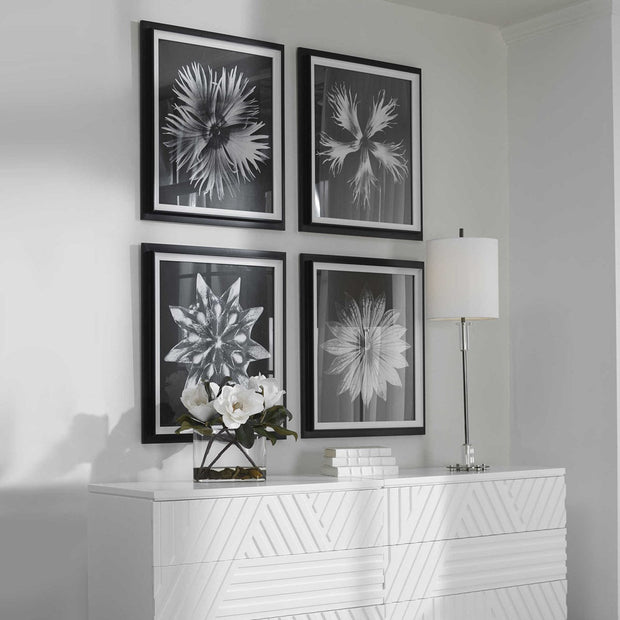 Uttermost Contemporary Black and White Florals Set of 4 Framed Prints,