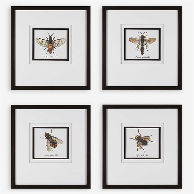 Uttermost Anthophila Bee Set of 4 Framed Prints
