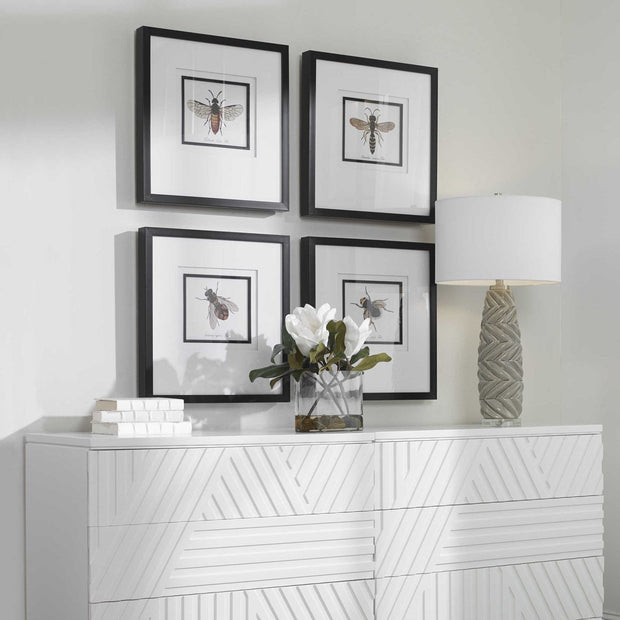 Uttermost Anthophila Bee Set of 4 Framed Prints