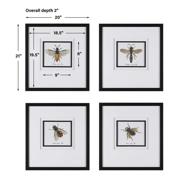 Uttermost Anthophila Bee Set of 4 Framed Prints