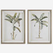 Uttermost Banana Palm Set of 2 Coastal Style Framed Prints