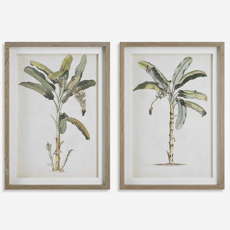 Uttermost Banana Palm Set of 2 Coastal Style Framed Prints