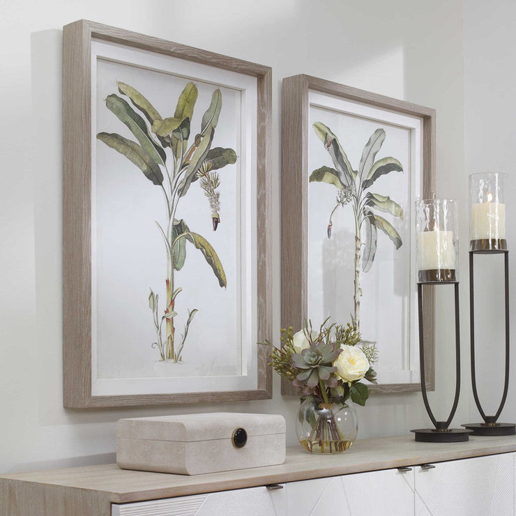 Uttermost Banana Palm Set of 2 Coastal Style Framed Prints