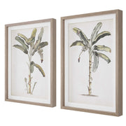 Uttermost Banana Palm Set of 2 Coastal Style Framed Prints