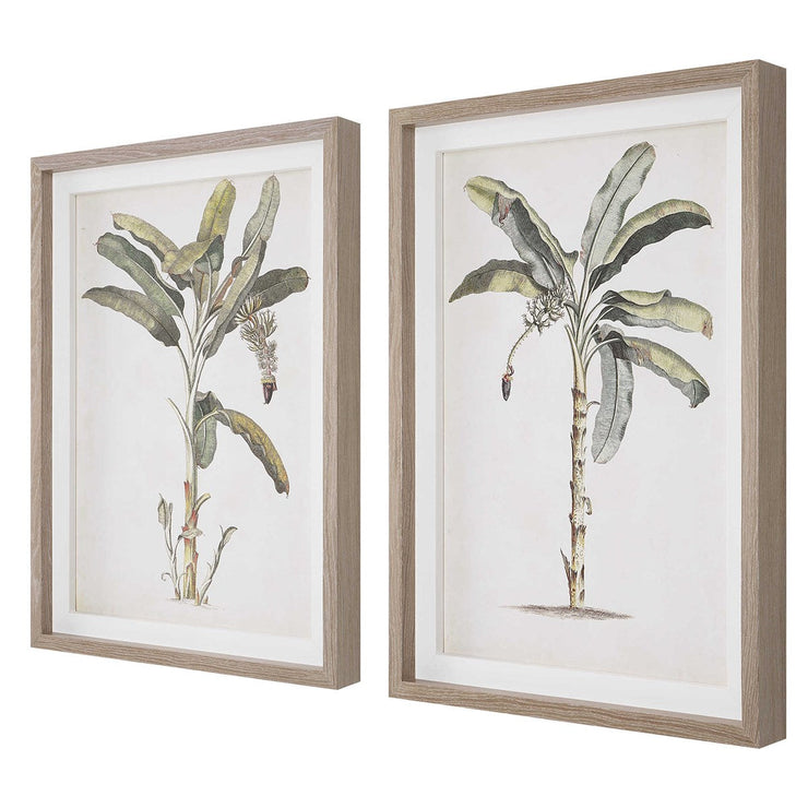 Uttermost Banana Palm Set of 2 Coastal Style Framed Prints