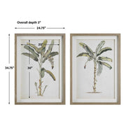 Uttermost Banana Palm Set of 2 Coastal Style Framed Prints
