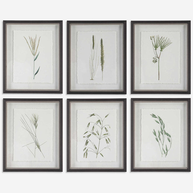 Uttermost Forest Finds Nature Set of 6 Framed Prints
