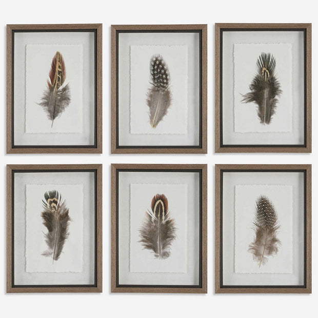 Uttermost Birds Of A Feather Set of 6 Framed Prints