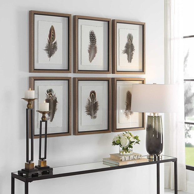 Uttermost Birds Of A Feather Set of 6 Framed Prints