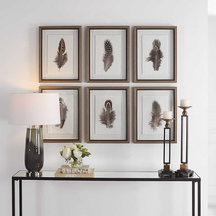 Uttermost Birds Of A Feather Set of 6 Framed Prints
