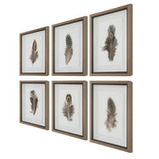 Uttermost Birds Of A Feather Set of 6 Framed Prints
