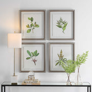 Uttermost Wildflower Study Set of 4 Framed Prints