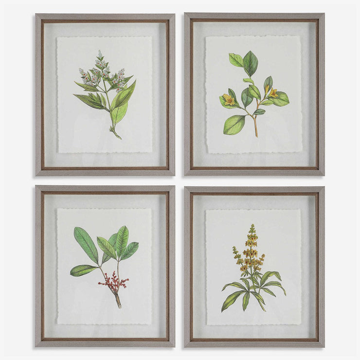 Uttermost Wildflower Study Set of 4 Framed Prints