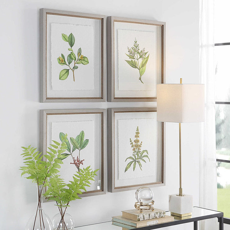 Uttermost Wildflower Study Set of 4 Framed Prints