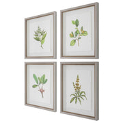 Uttermost Wildflower Study Set of 4 Framed Prints