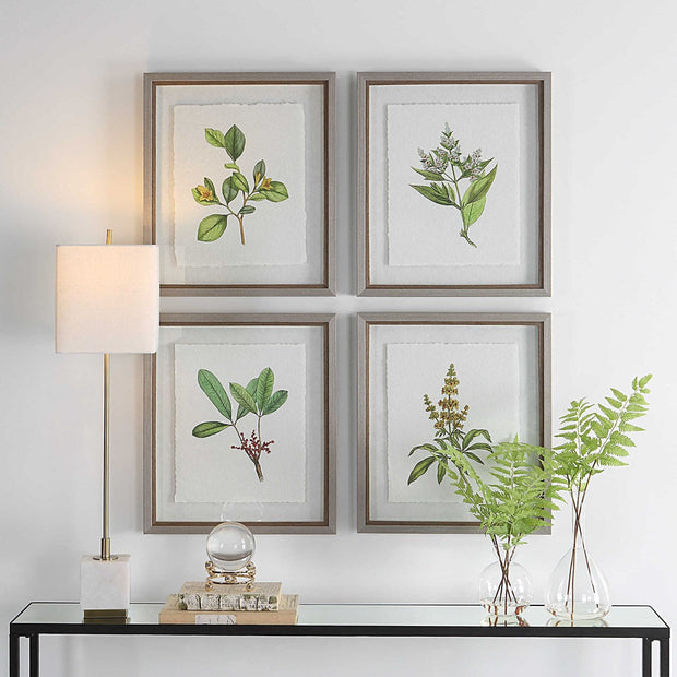 Uttermost Wildflower Study Set of 4 Framed Prints
