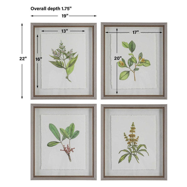 Uttermost Wildflower Study Set of 4 Framed Prints