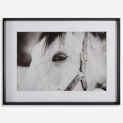 Uttermost Eye Of The Beholder Black and White Horse Framed Print