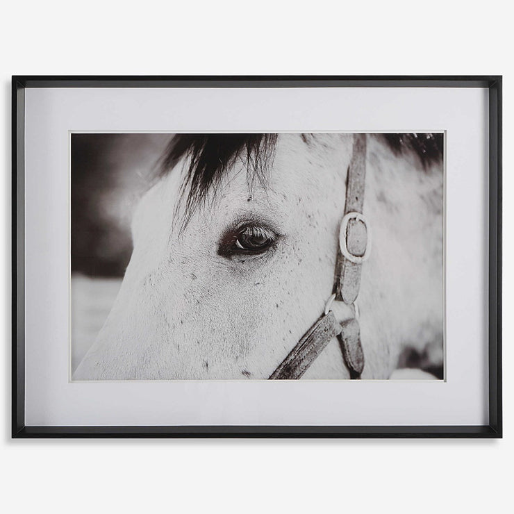 Uttermost Eye Of The Beholder Black and White Horse Framed Print
