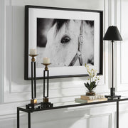 Uttermost Eye Of The Beholder Black and White Horse Framed Print