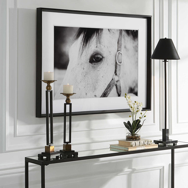 Uttermost Eye Of The Beholder Black and White Horse Framed Print