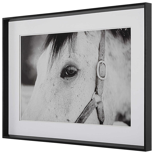 Uttermost Eye Of The Beholder Black and White Horse Framed Print