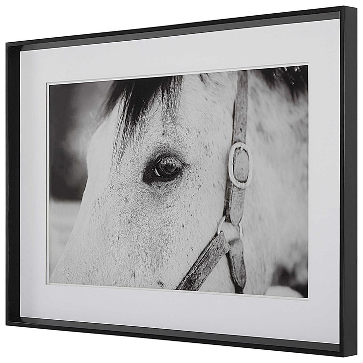 Uttermost Eye Of The Beholder Black and White Horse Framed Print