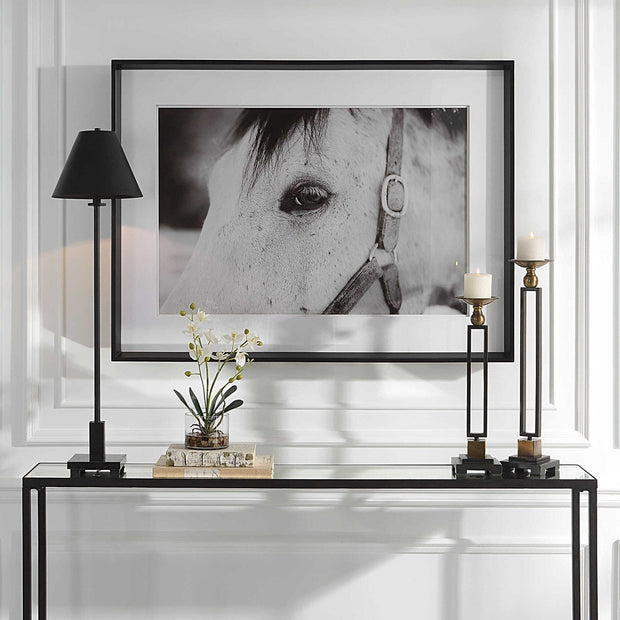 Uttermost Eye Of The Beholder Black and White Horse Framed Print