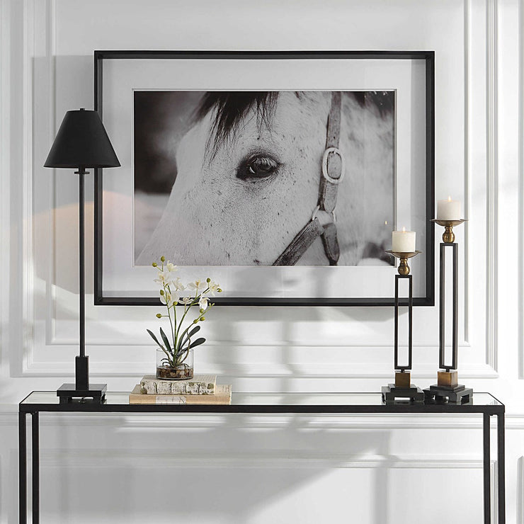 Uttermost Eye Of The Beholder Black and White Horse Framed Print