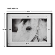 Uttermost Eye Of The Beholder Black and White Horse Framed Print