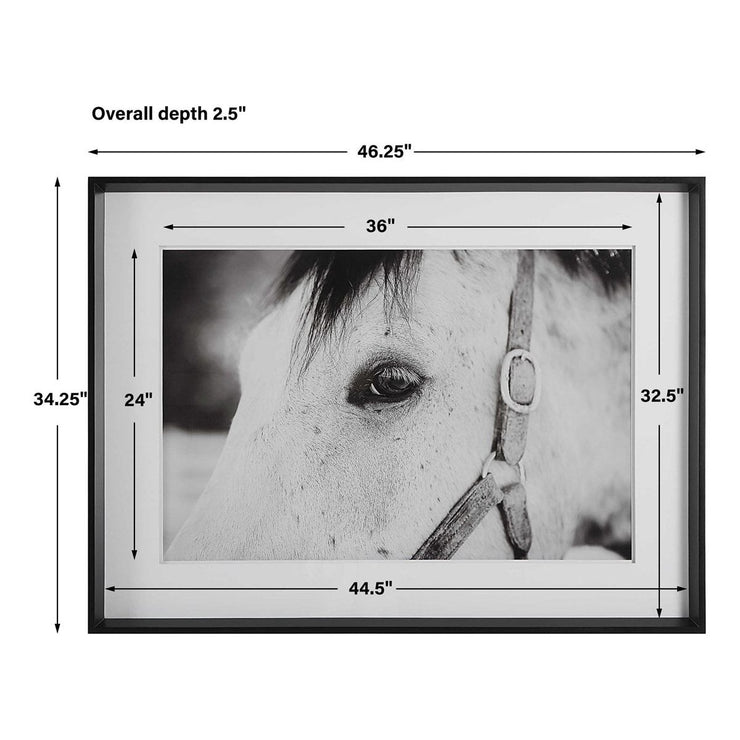 Uttermost Eye Of The Beholder Black and White Horse Framed Print