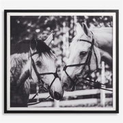 Uttermost Apple Of My Eye Black and White Horses Framed Print