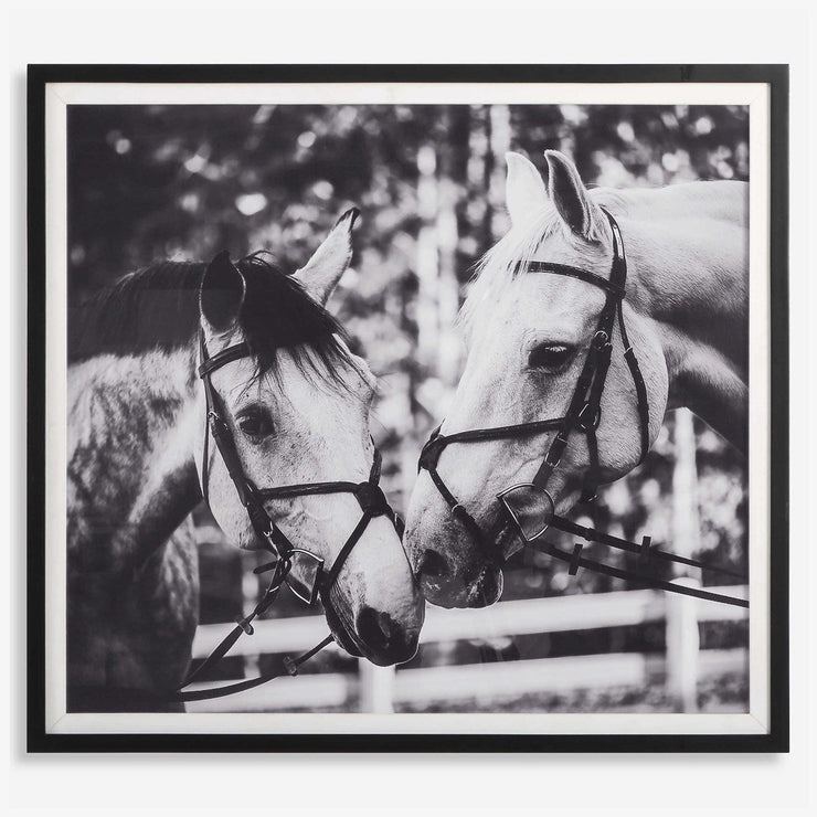 Uttermost Apple Of My Eye Black and White Horses Framed Print