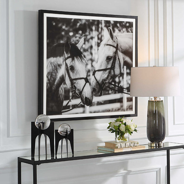 Uttermost Apple Of My Eye Black and White Horses Framed Print