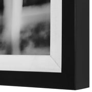 Uttermost Apple Of My Eye Black and White Horses Framed Print