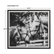 Uttermost Apple Of My Eye Black and White Horses Framed Print