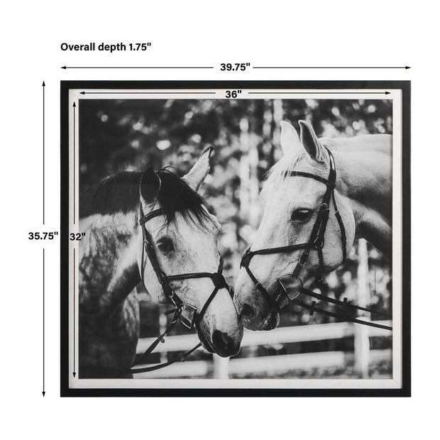 Uttermost Apple Of My Eye Black and White Horses Framed Print