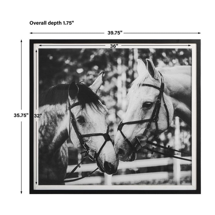 Uttermost Apple Of My Eye Black and White Horses Framed Print