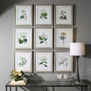 Uttermost Antique Botanicals Set of 9 Framed Prints