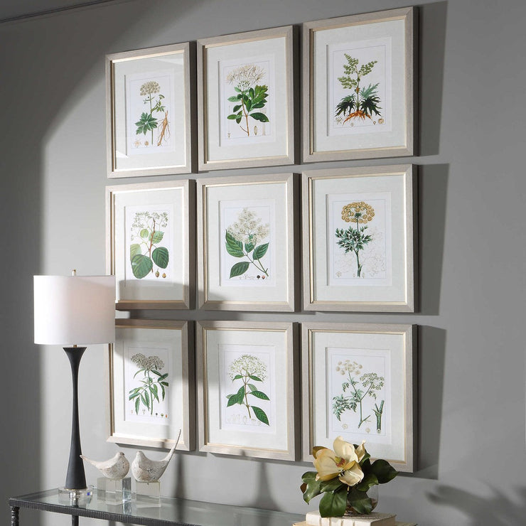 Uttermost Antique Botanicals Set of 9 Framed Prints